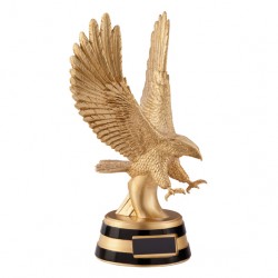 Business award adelaar – Sportprijzen Plaza